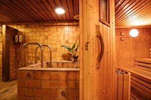 Sauna & dompelbad