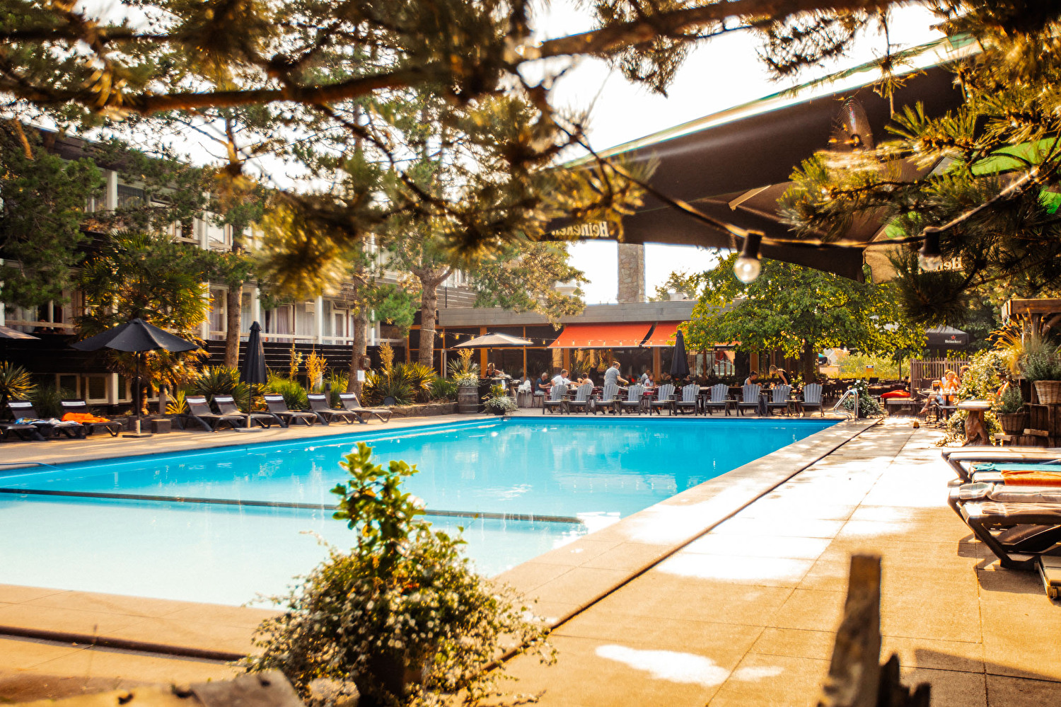 Badhotel Rockanje & Brasserie Lodgers | Officiële Website
