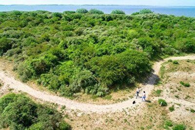 Voorjaarswandeling in Voornes Duin met lunch