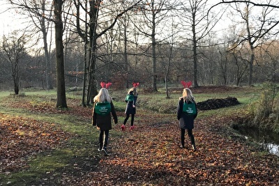 Rendierenspeurtocht in de Duinen